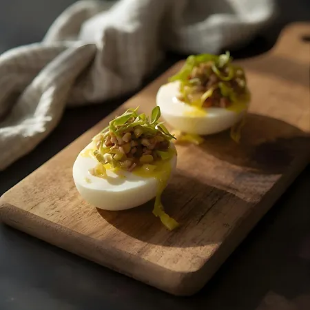 La Maison Du Soleil L'aulhere Oloron-Sainte-Marie